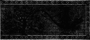 ENAMELLED BRICK. KHORSABAD. (FROM PERROT AND CHIPIEZ.)