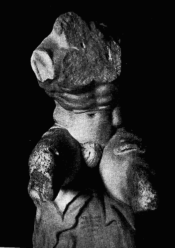 Torso